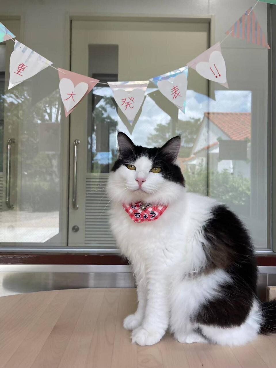 写真提供／神戸市環境衛生課