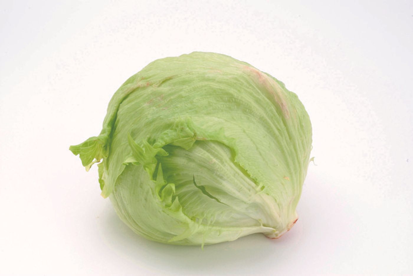 この野菜 猫に与えてok Ng 猫が食べてもいい 食べてはいけない野菜 ねこのきもちweb Magazine この野菜 猫に与えてok Ng 猫が食べてもいい 食べてはいけない野菜 ねこのきもちweb Magazine