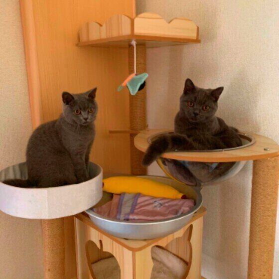 7ヶ月のムーンちゃんたち