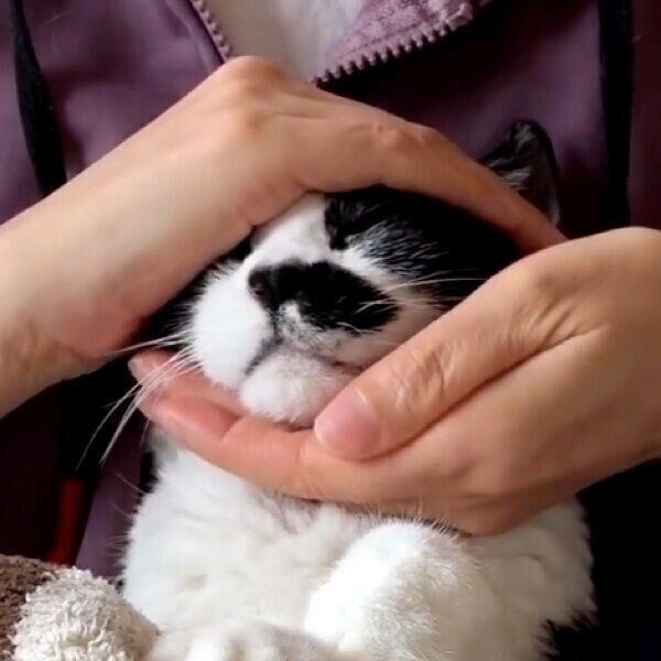 おにぎりに喜ぶドツちゃん