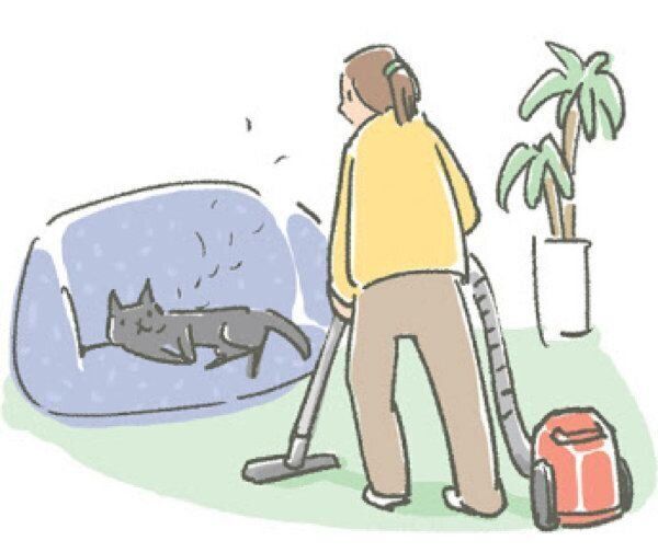 猫から直接うつりやすい病気