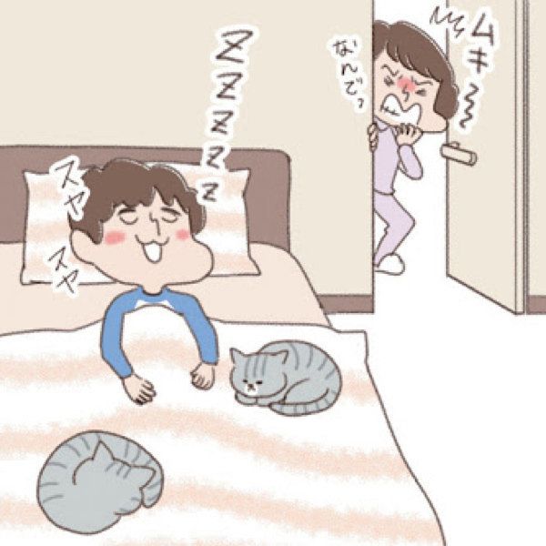 猫との暮らし　理想と現実