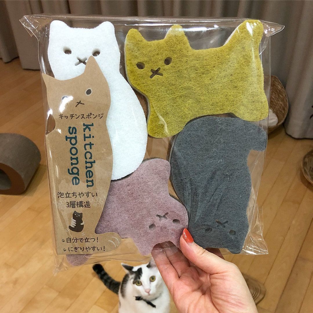 猫型スポンジ
