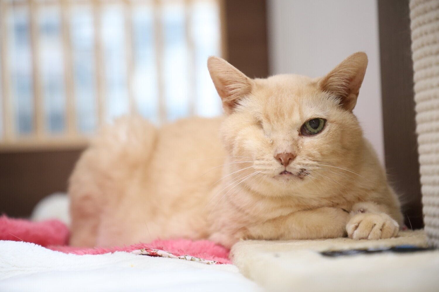 撮影／尾﨑たまき