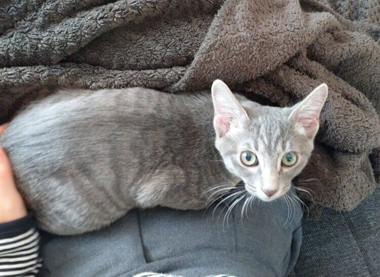 生後4カ月の頃のベスカーくん