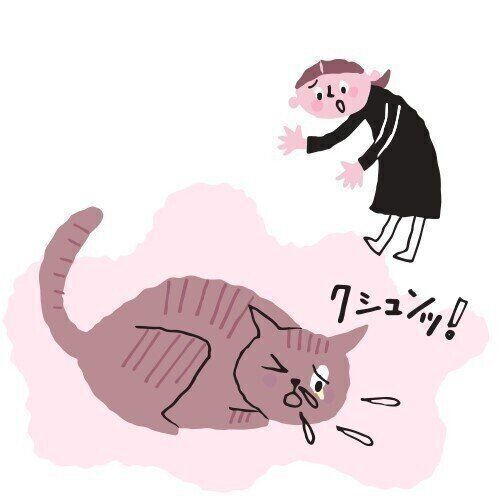 イラスト／山村真代