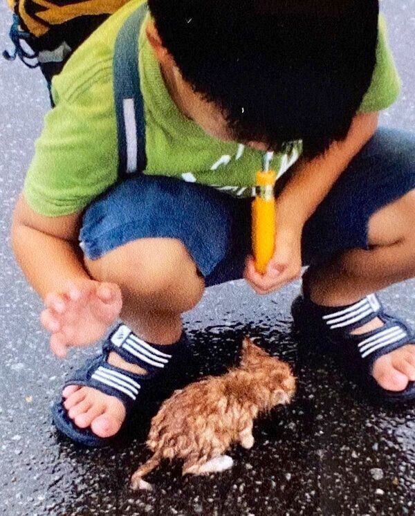 息子さんの足元にやってきたピョンタくん