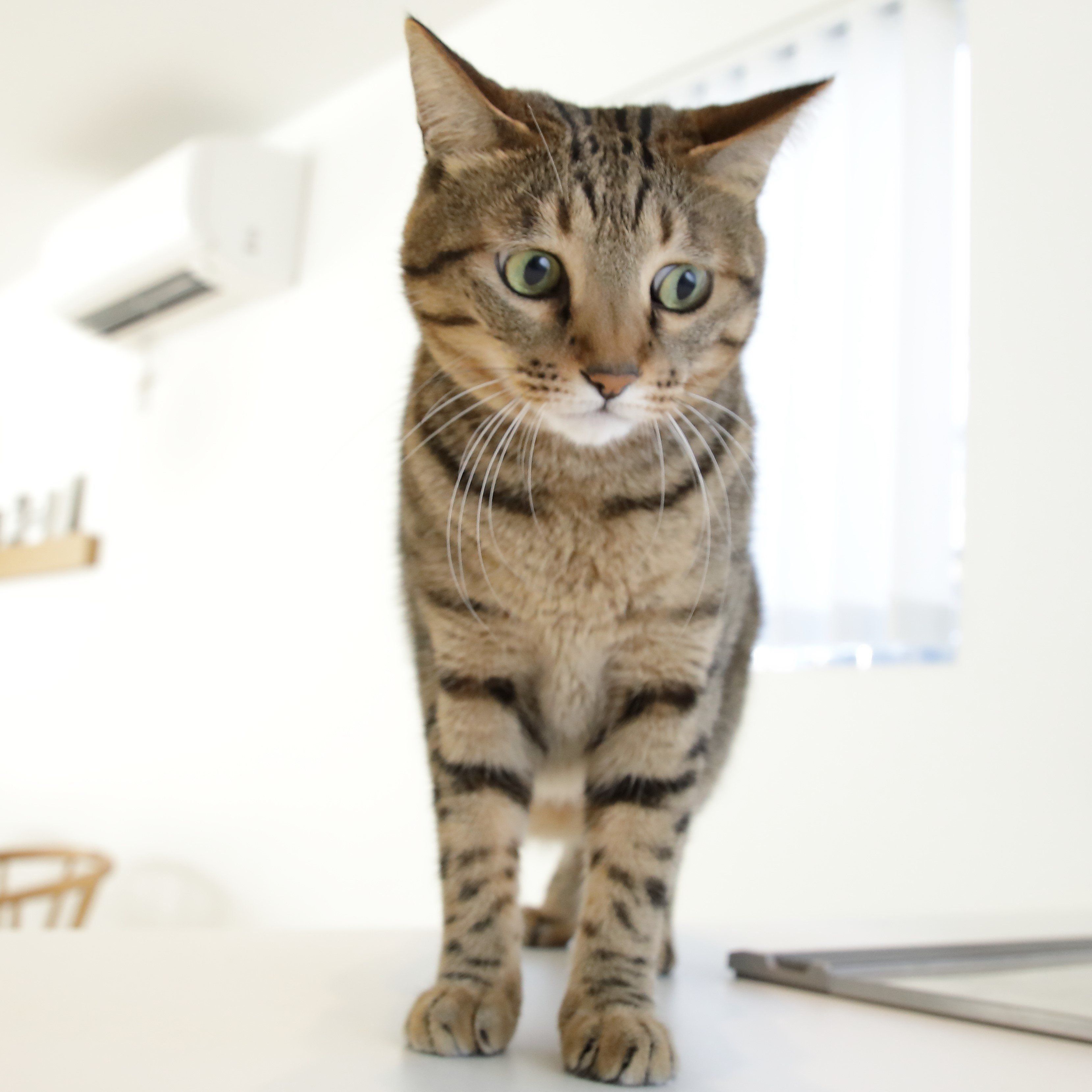 撮影／尾﨑たまき