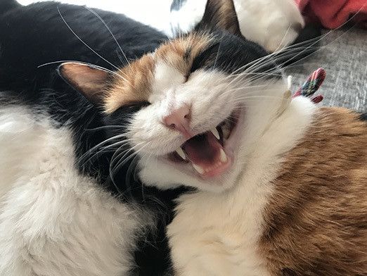 夢みるソラのとんでもない行動