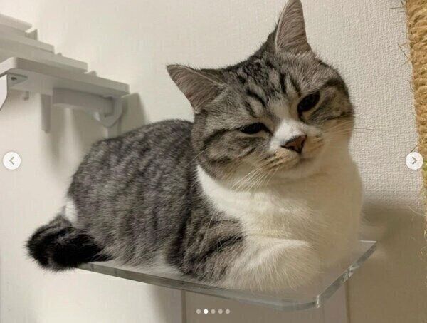 くつろぐタロウくん