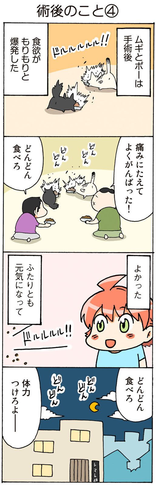 ©片倉真二/講談社