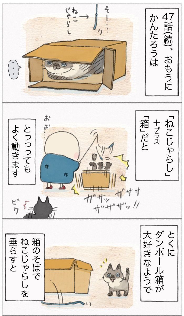『ねこ連れ草』48話め①
