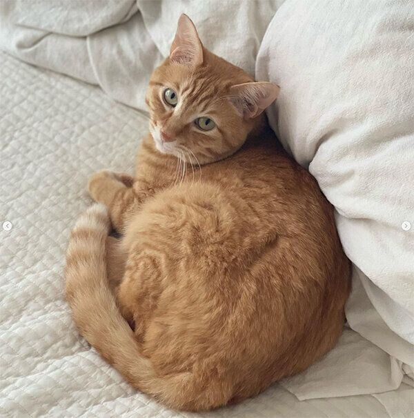 見つめる琥太郎くん