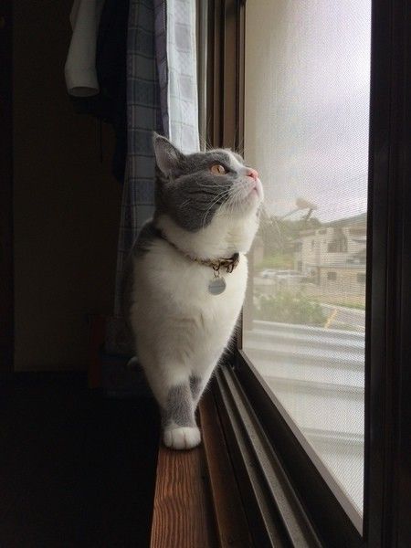 外に夢中のうにちゃん