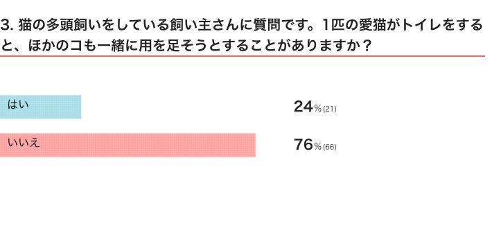ねこのきもちWEB MAGAZINE『猫の多頭飼いをしている飼い主さんにアンケート』