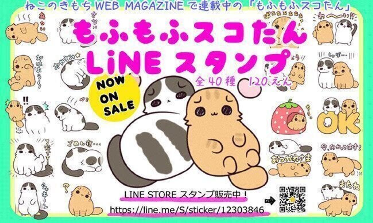 猫の寝癖の個性がスゴイ ヒゲくちゃタイプ うるツヤタイプ 連載 もふもふスコたん 225 ねこのきもちweb Magazine 猫の寝癖の個性がスゴイ ヒゲくちゃタイプ うるツヤタイプ 連載 もふもふスコたん 225 ねこのきもちweb Magazine