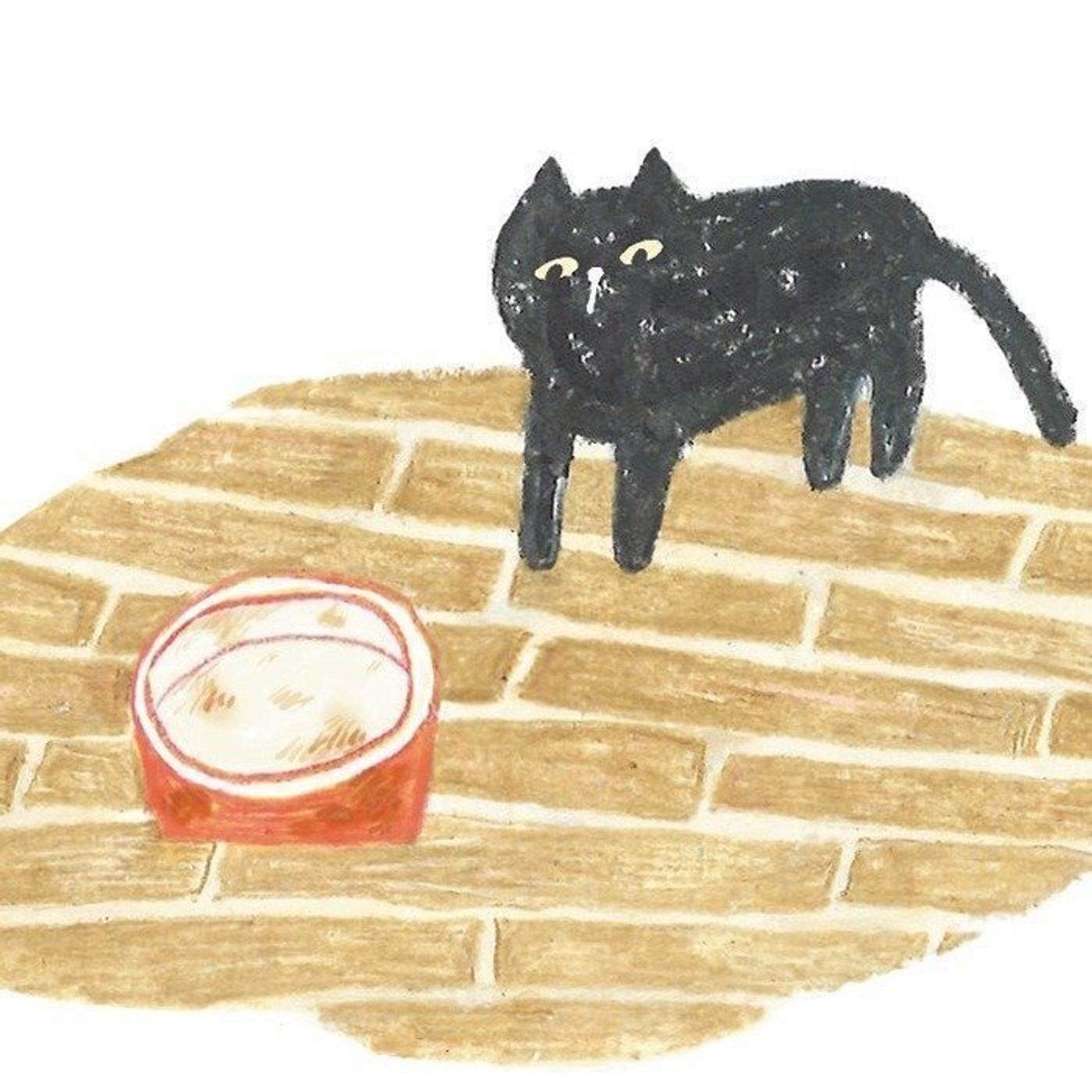 湿気が多い季節は 猫用食器を清潔に保とう ねこのきもちweb Magazine 湿気が多い季節は 猫用食器を清潔に保とう ねこのきもちweb Magazine