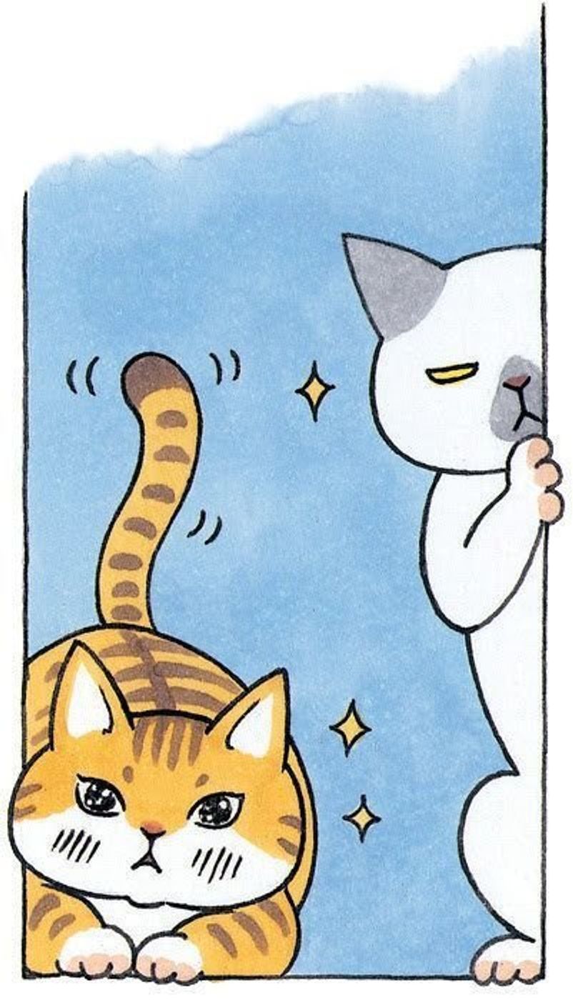 猫が物陰から 片目 で見てる この時の猫の本音は ねこのきもちweb Magazine 猫が物陰から 片目 で見てる この時の猫の本音は ねこのきもちweb Magazine