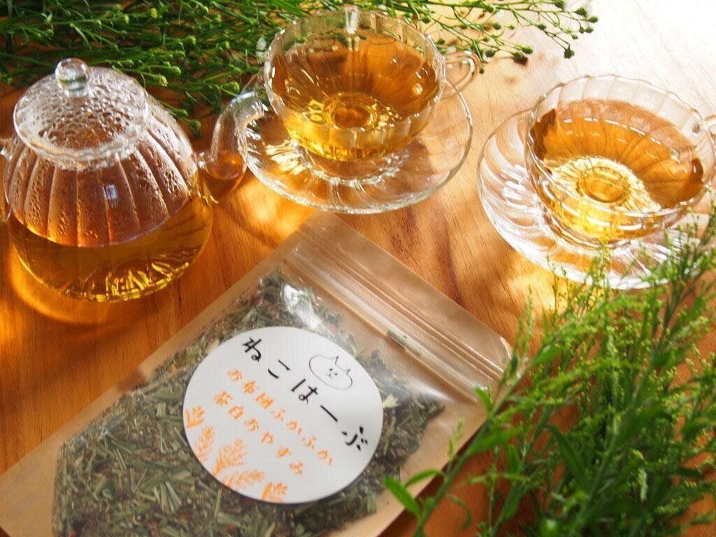 ねこはーぶ作品