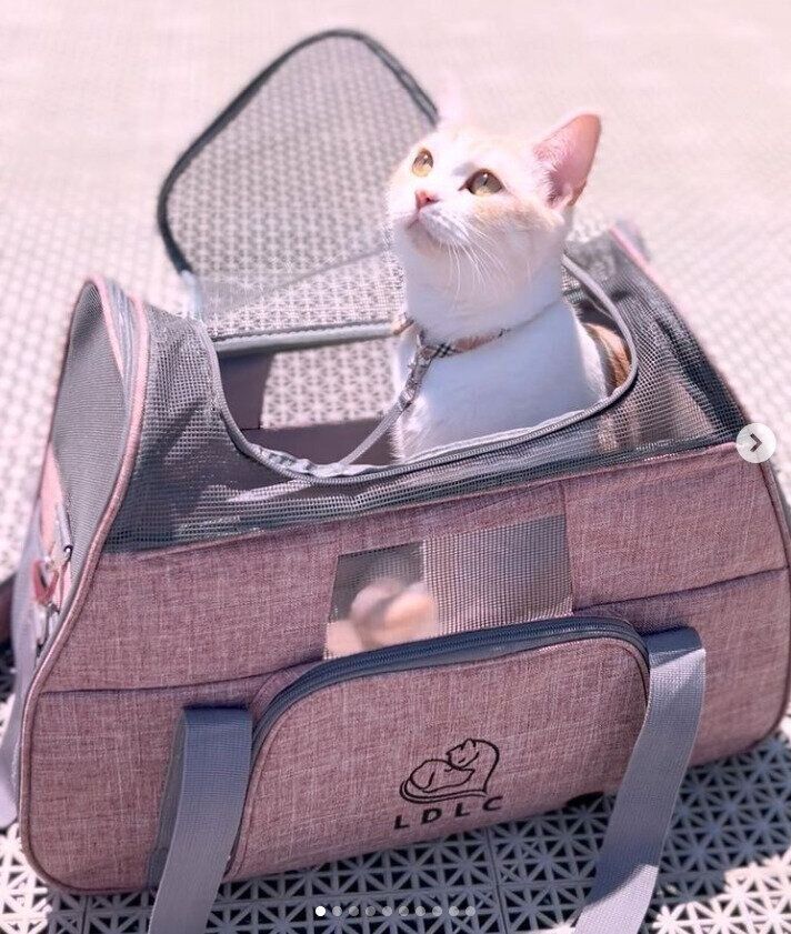 LDLCのキャリーバッグ