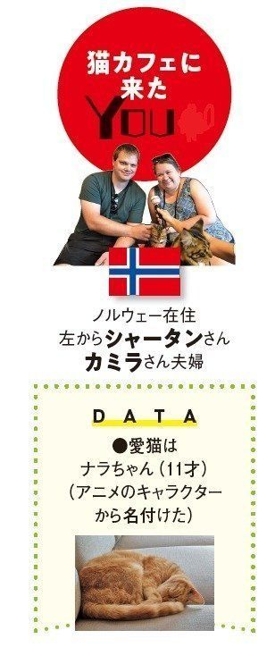 画像／ねこのきもち2018年11月号