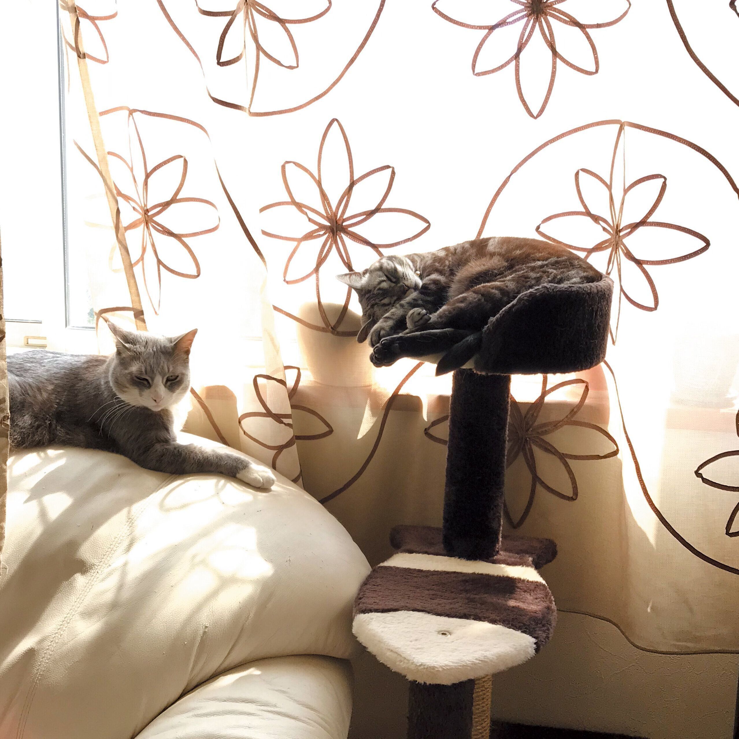 撮影／奥山美奈子