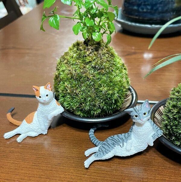 カプセルトイ「猫の憂鬱」