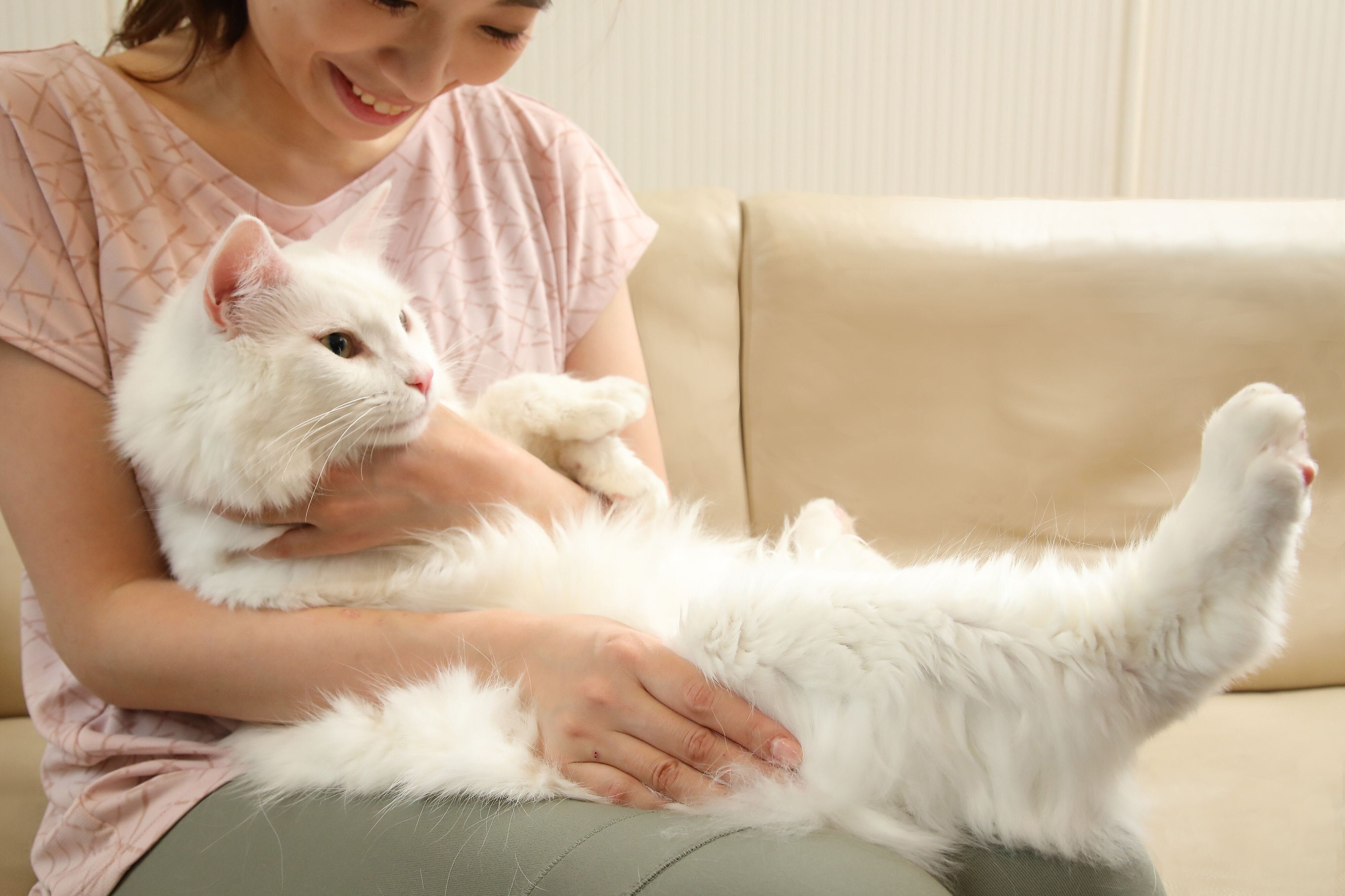 撮影／尾﨑たまき