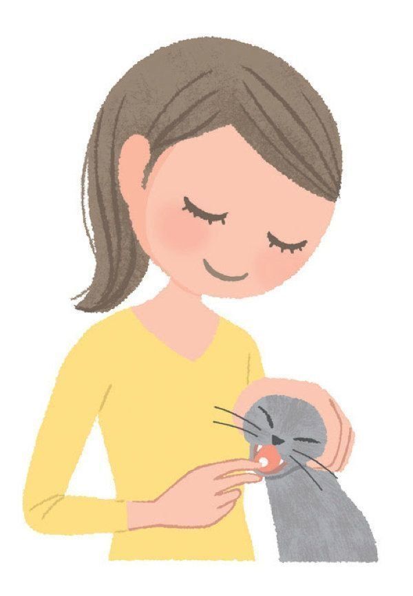 猫の激怒症候群