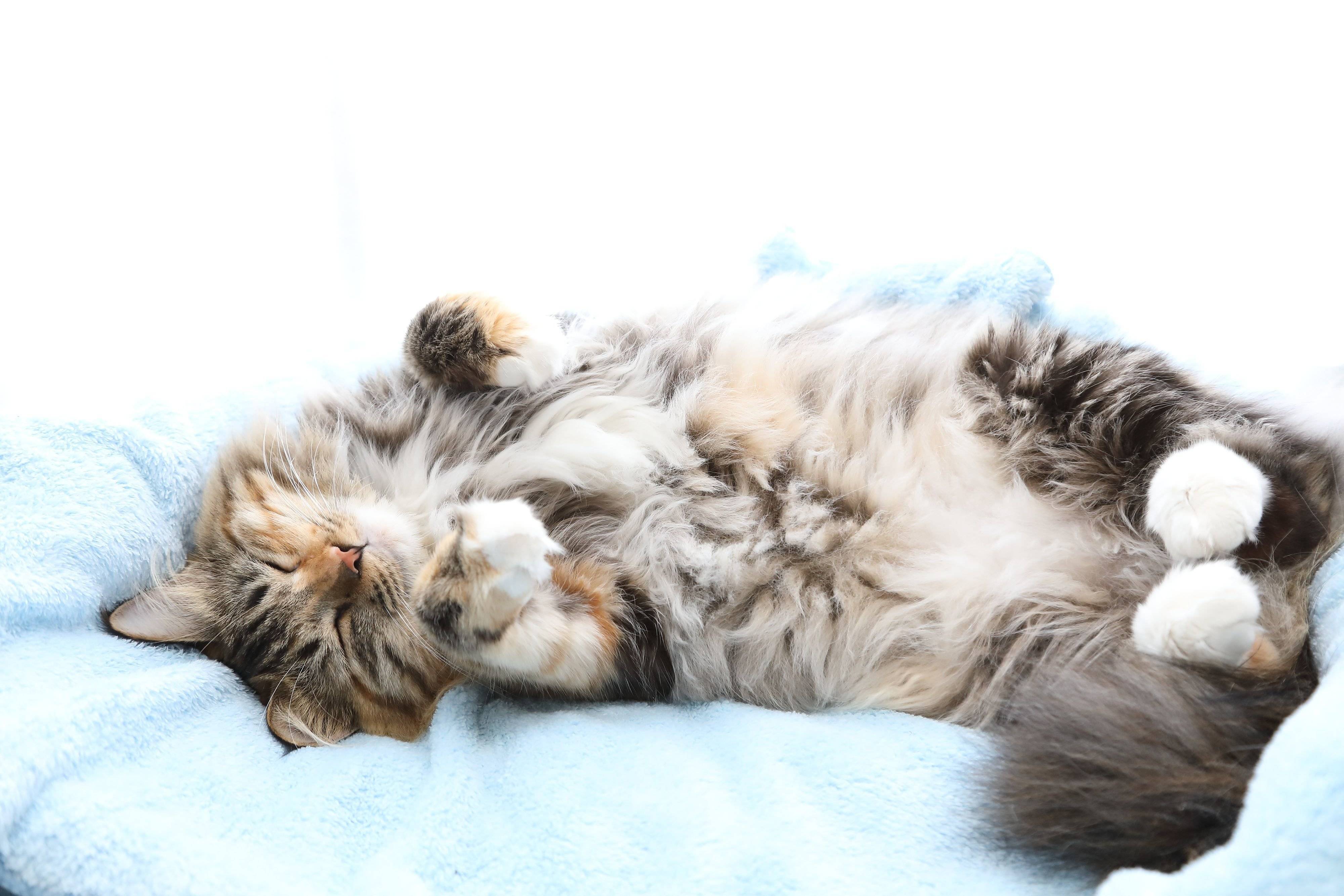 撮影／尾﨑たまき