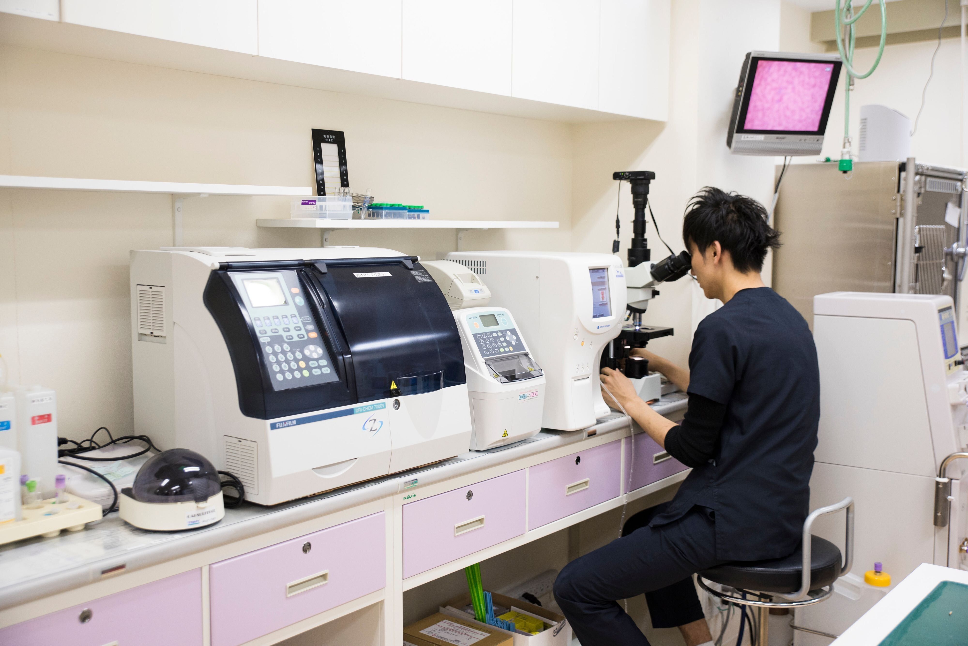 撮影／中川文作