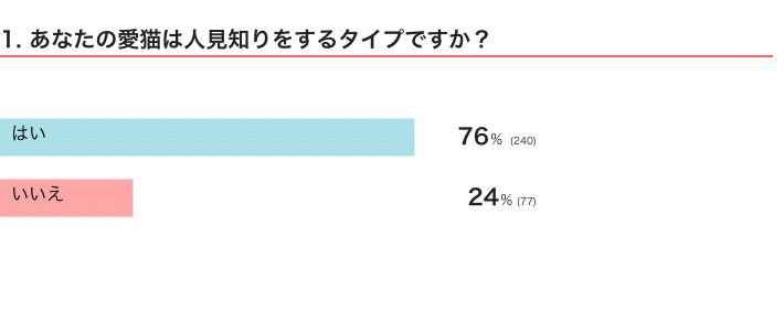 愛猫は人見知りをしますか？