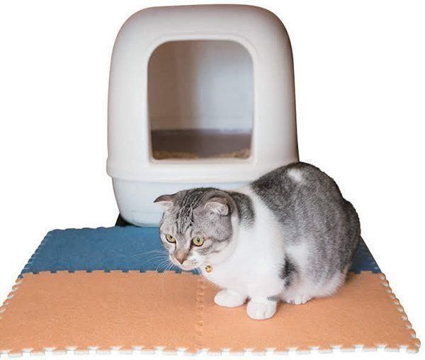 猫トイレ