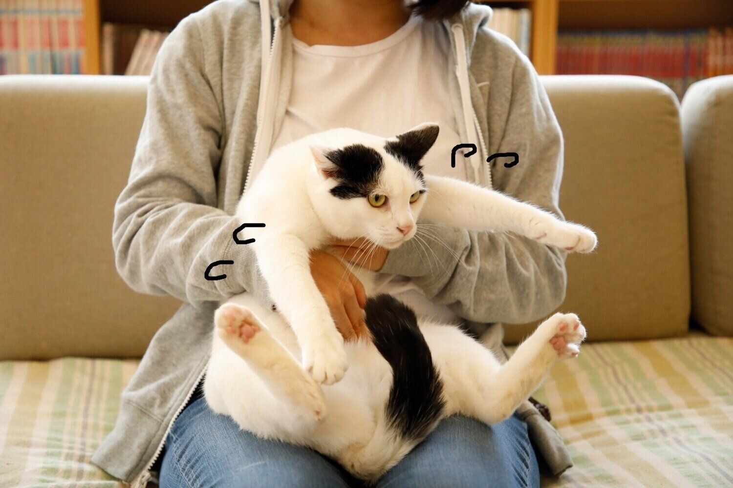 撮影／尾﨑たまき