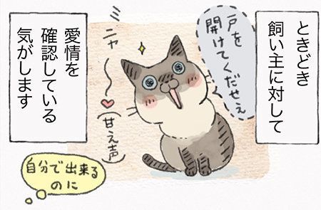 「ねこ連れ草」サムネイル