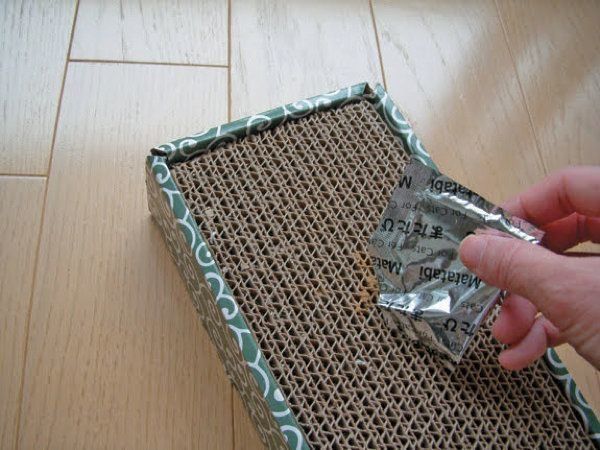 猫の嗜好品のまたたびとは