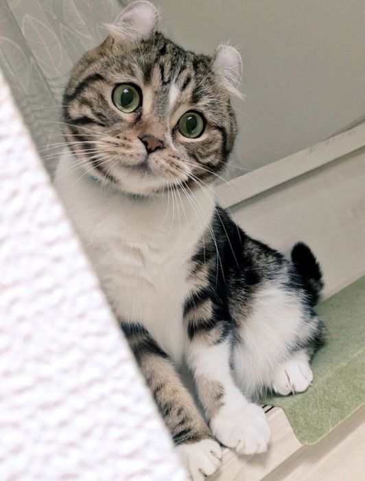 首を傾げるるちくん