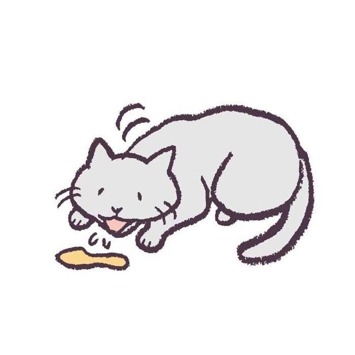 イラスト／影山直美