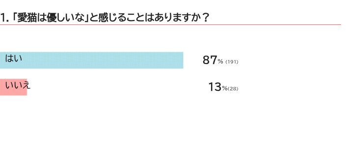 「愛猫は優しいな」と感じることはありますか？