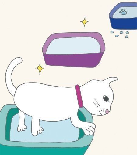 イラスト／Kimie Abe