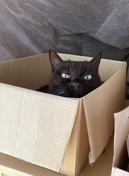 inかんたろうの箱