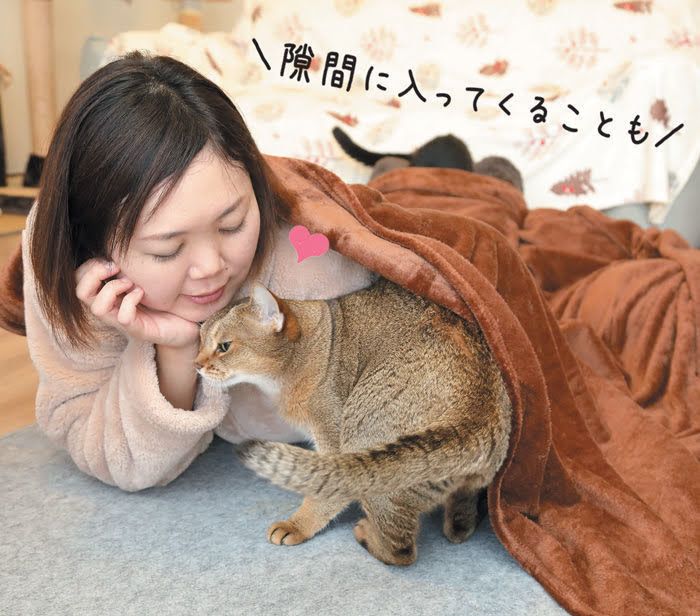 薄手の毛布が大活躍