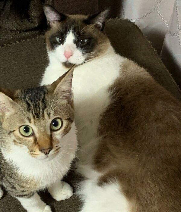 ふっくんとはちくんの仲良しツーショット