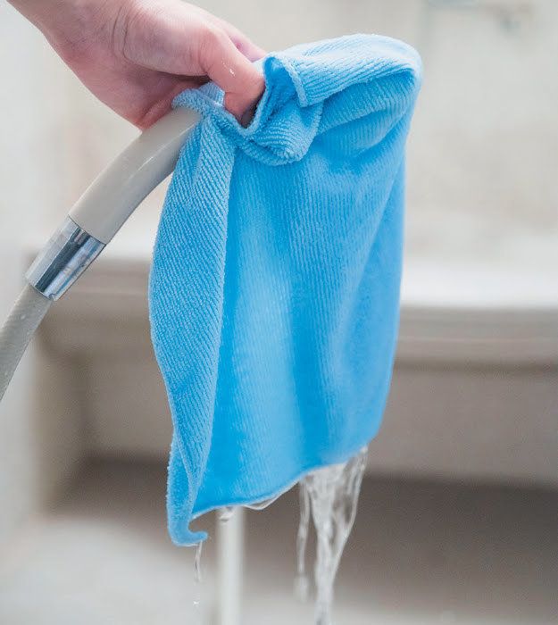 2017年8月号「ねこのきもち」