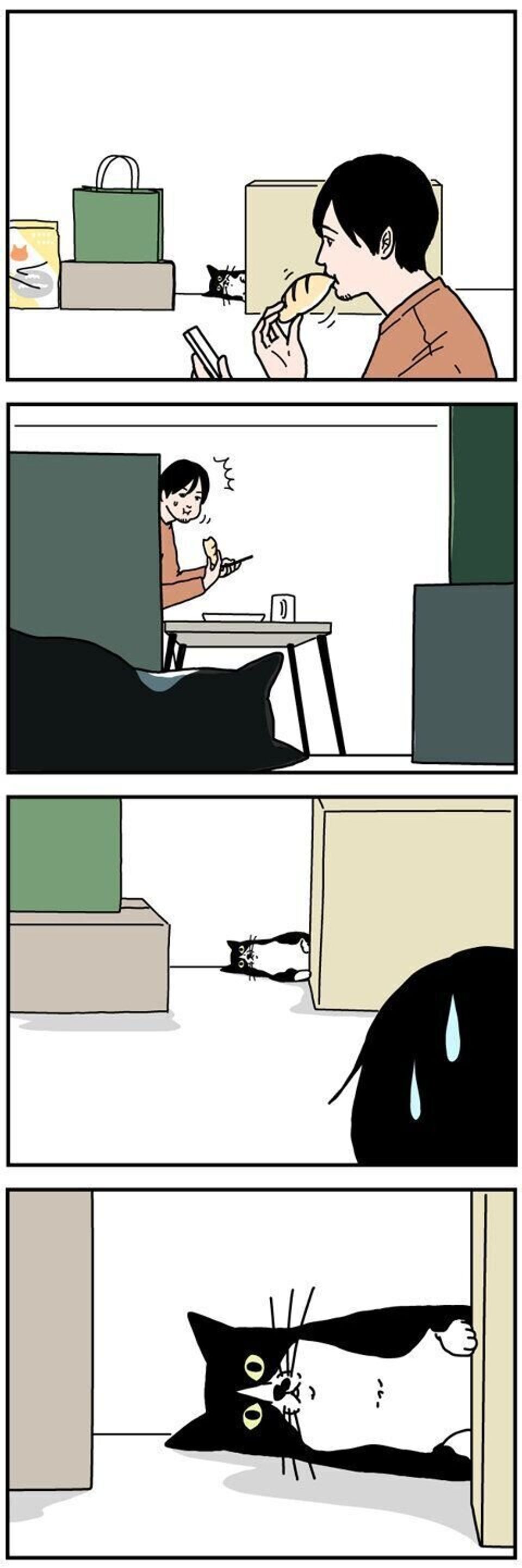 6ih81ixdfxemfm 6ih81ixdfxemfm