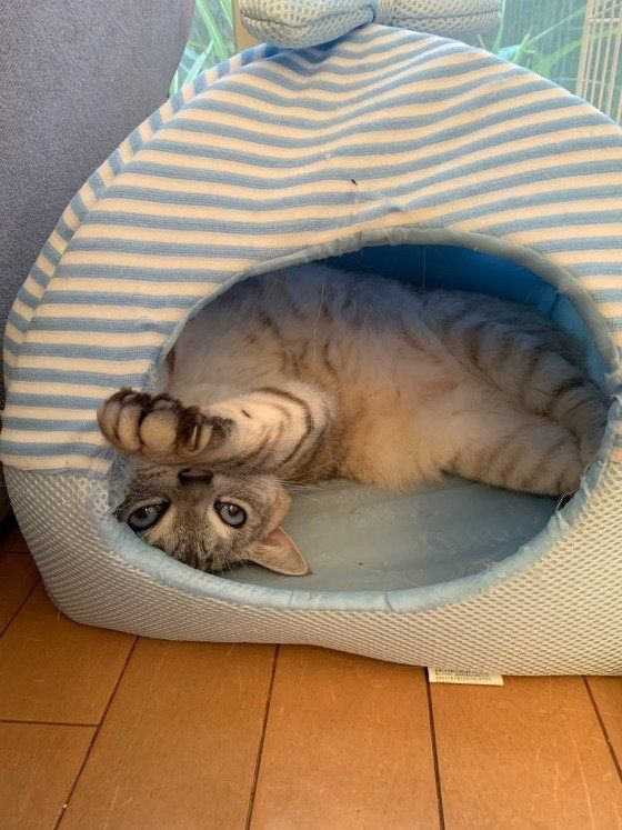 ハウスでまったり