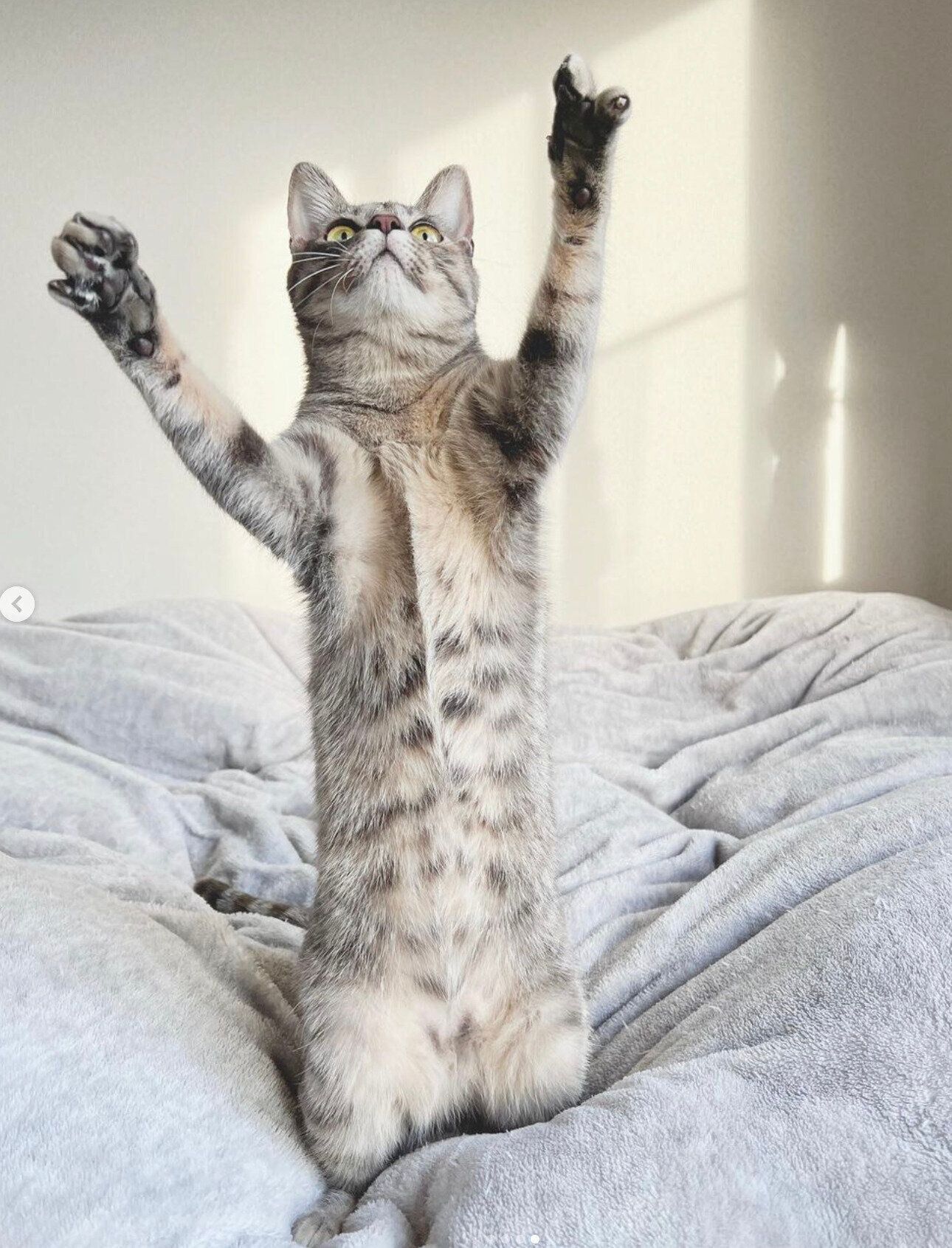 遊ぶコユビちゃん