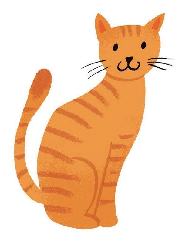 愛猫の幸せな後半生のために考えておくこととは