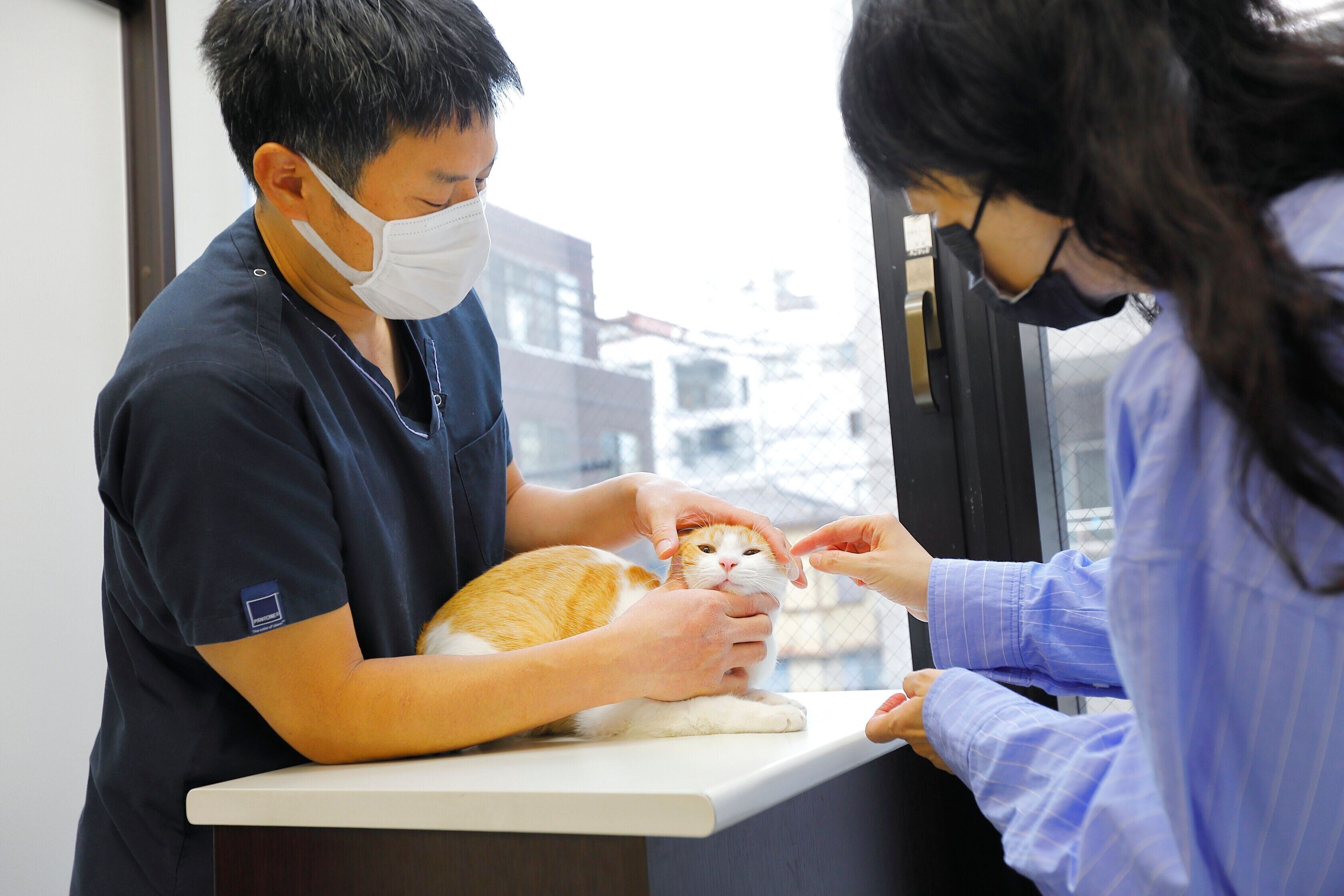 撮影／後藤さくら