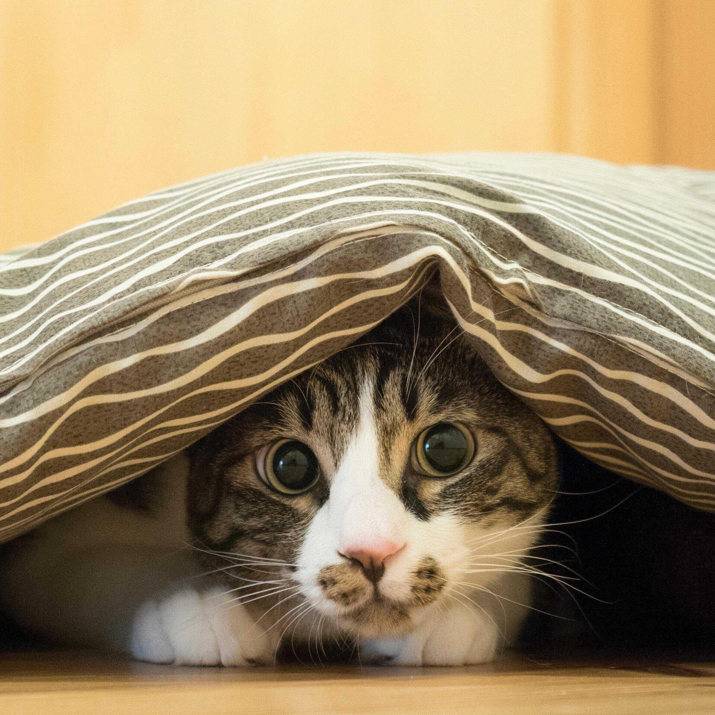 撮影／小森正孝